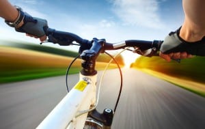 Lakeshore Harvest Country Bike Tour