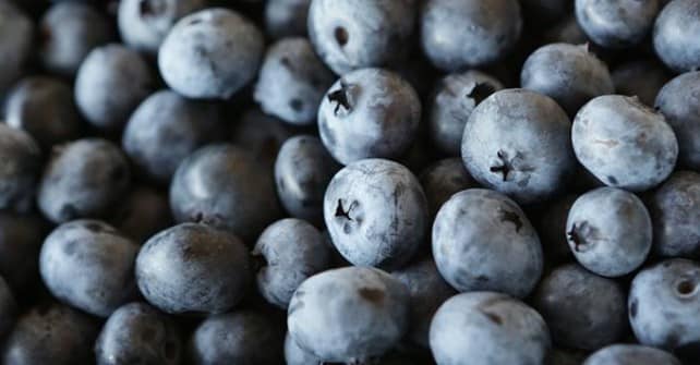 51st Annual National Blueberry Festival