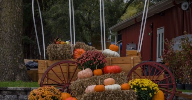 2nd Annual Homestead Fall Festival
